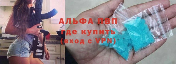 ПСИЛОЦИБИНОВЫЕ ГРИБЫ Богданович