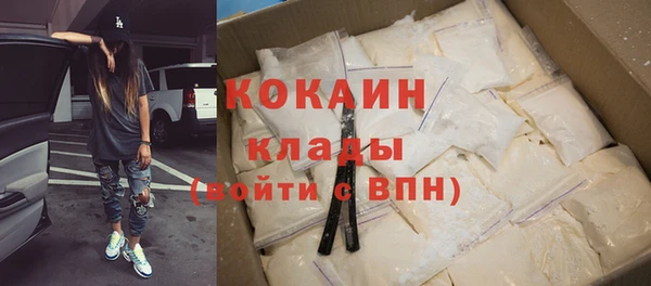 ПСИЛОЦИБИНОВЫЕ ГРИБЫ Богданович