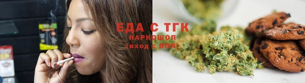 гашик Бородино