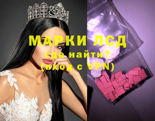 ПСИЛОЦИБИНОВЫЕ ГРИБЫ Богданович