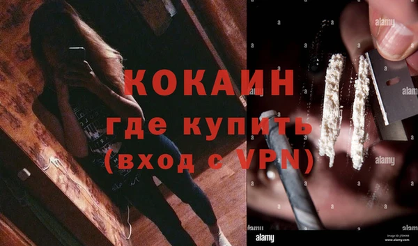 ПСИЛОЦИБИНОВЫЕ ГРИБЫ Богданович