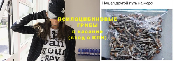 спиды Нефтекумск