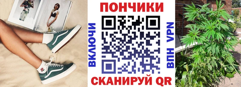 Шишки марихуана LSD WEED  гидра как войти  Кондопога  где можно купить наркотик 
